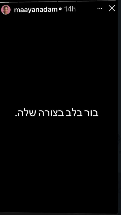 הסטורי של מעיין אדם (צילום: אינסטגרם)