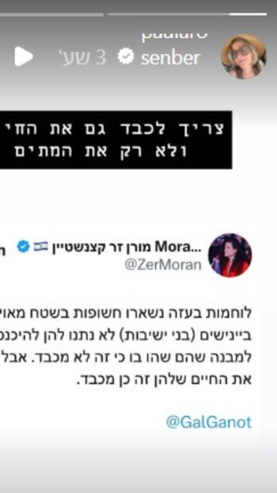 הסטורי של פאולה רוזנברג (צילום: מתוך אינסטגרם)