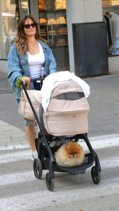 דנה פרידר (צילום: פול סגל)