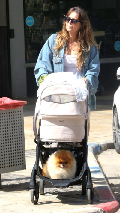 דנה פרידר (צילום: פול סגל)