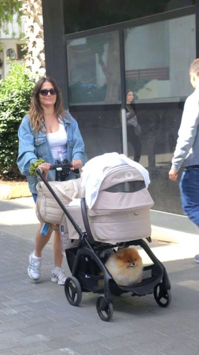 דנה פרידר (צילום: פול סגל)