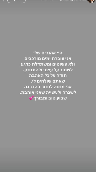 הסטורי של אלין כהן (צילום: אינסטגרם)
