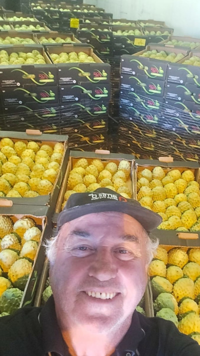מוטי ינקו, ''מוטי בננה''