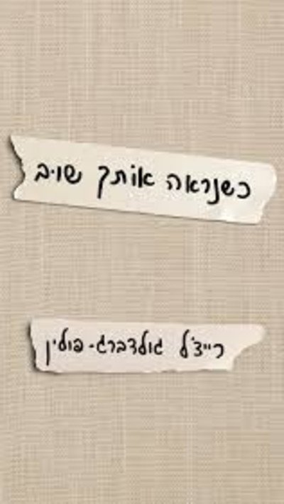 הספר ''כשנראה אותך שוב'' של רייצ'ל גולדברג-פולין