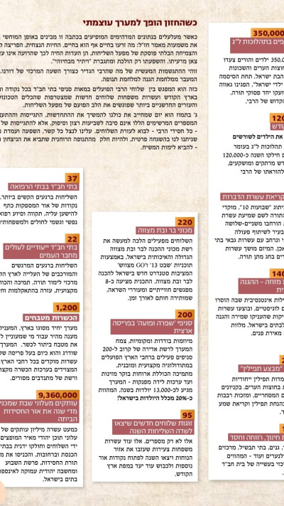 נתוני ארגון ''צעירי אגודת חב''ד'' (צא''ח)