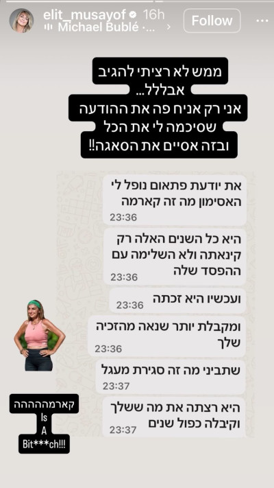 הסטורי של אלית מוסאיוף (צילום: צילום מסך אינסטגרם)