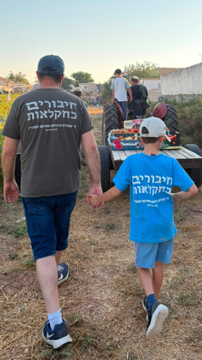מתנדבים בחקלאות