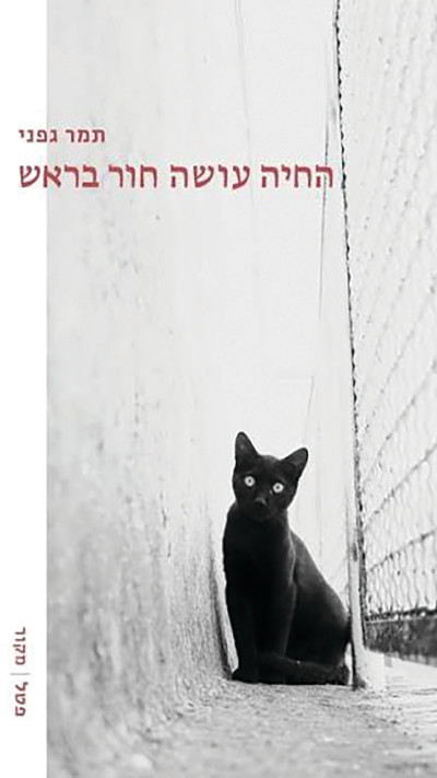 כריכת הספר ''החיה עושה לי חור בראש'' מאת תמר גפני