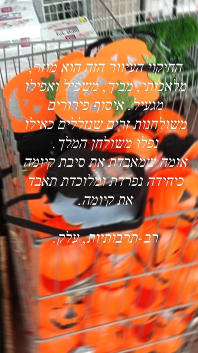 הסטורי שפרסמה נוי בר (צילום: אינסטגרם)