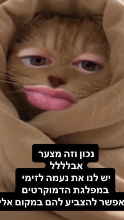 אלונה סער מביעה את תמיכתה בדמוקרטים (צילום: אינסטגרם)