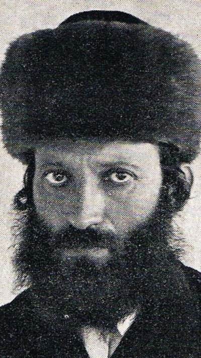 הרב קוק