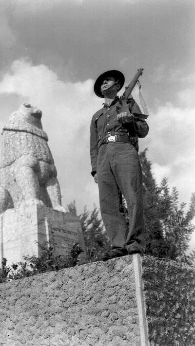 האריה השואג, תל חי