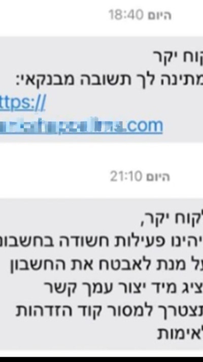 דוגמה להודעת הפישינג (צילום: דוברות המשטרה)