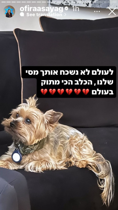 אופירה אסייג (צילום: צילום מסך אינסטגרם)