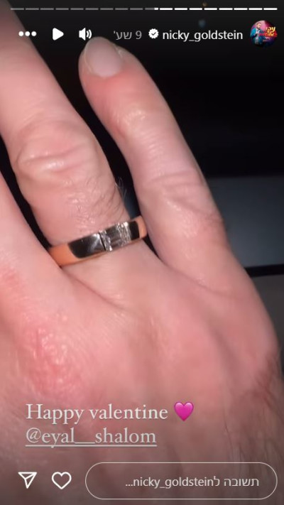 ניקי גולדשטיין (צילום: צילום מסך אינסטגרם)
