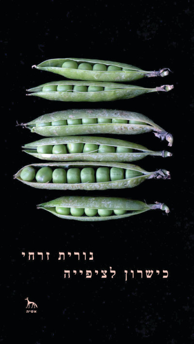 עטיפת הספר ''כישרון לציפייה'' / נורית זרחי