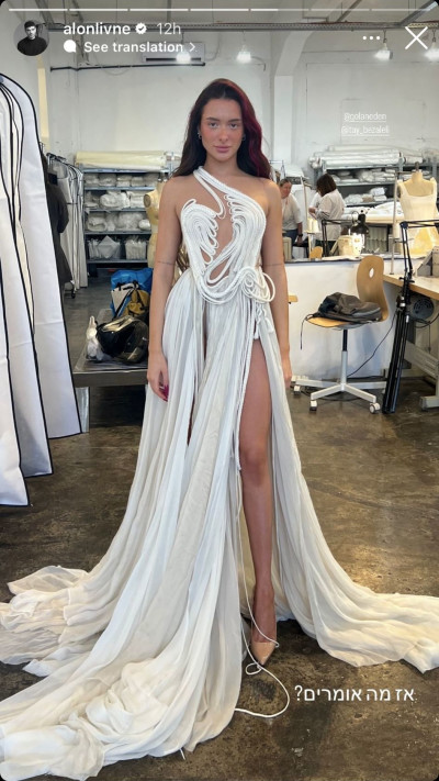 הדגם שעיצב אלון ליבנה לעדן גולן ונפסל