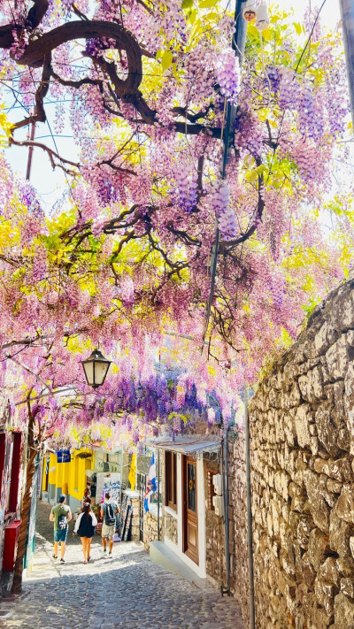 טיול בין בתי האבן, לסבוס