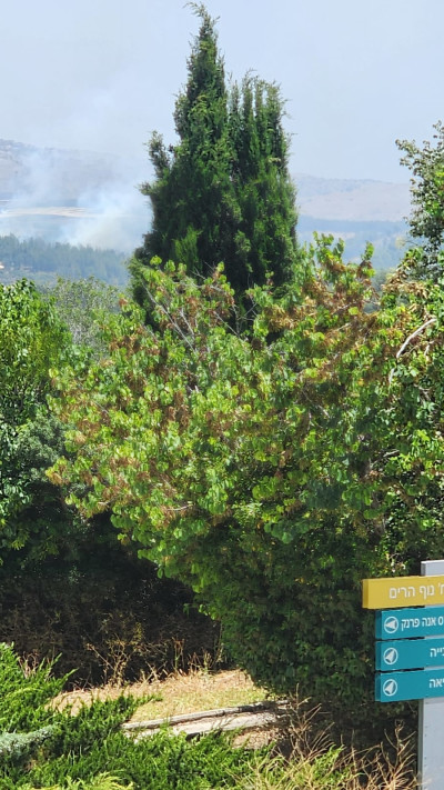 הנוף מקיבוץ סאסא, שריפות בצפון