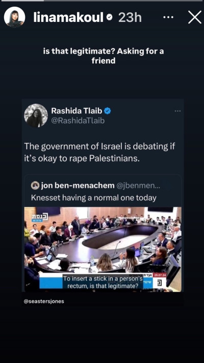 לינא מח'ול נגד חיילי צה''ל (צילום: צילום מסך אינסטגרם)