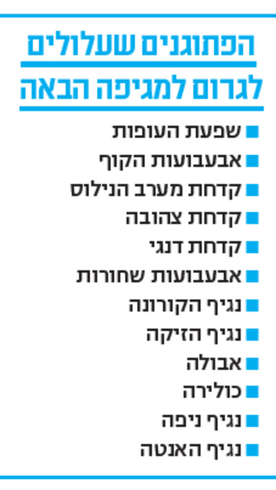 הפתוגנים שעלולים לגרום למגיפה הבאה (צילום: מעריב אונליין)