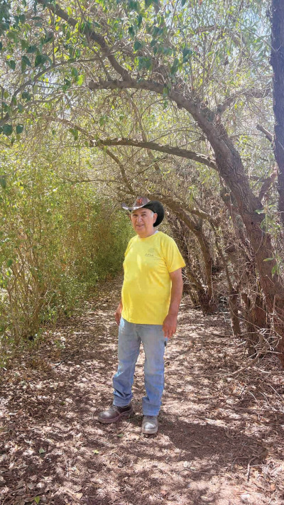 אלי שדה במבוך מרים