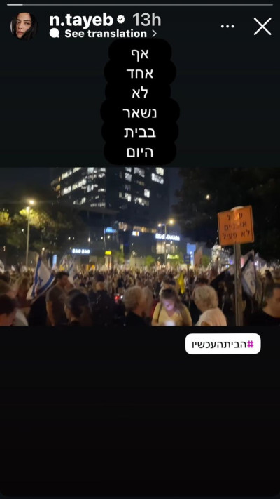 נינט טייב בהפגנה (צילום: צילום מסך מתוך האינסטגרם)