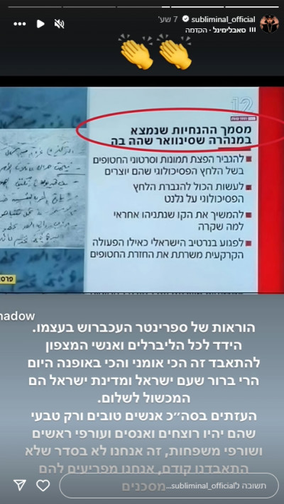 סאבלימינל על ההפגנות (צילום: צילום מסך מתוך האינסטגרם)