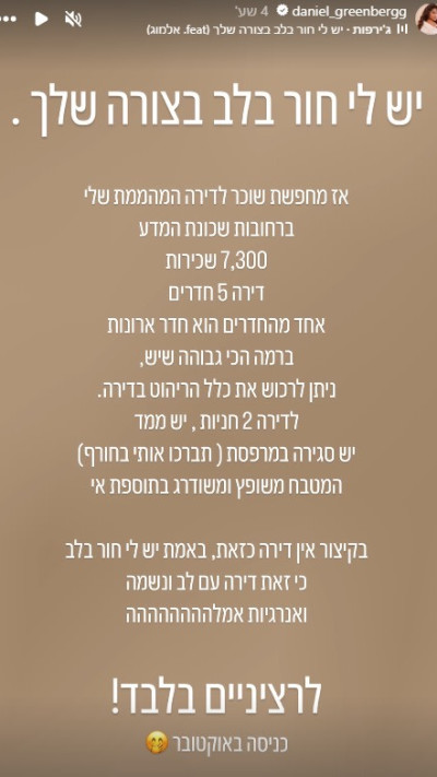 פרטי הדירה להשכרה של דניאל גרינברג (צילום: צילום מסך אינסטגרם)