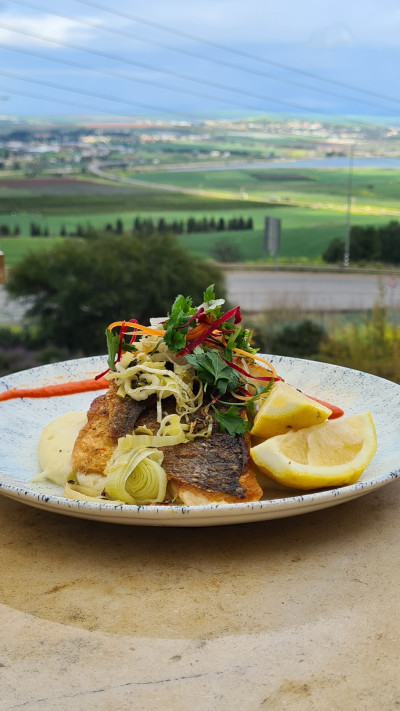 קימל בגלבוע 