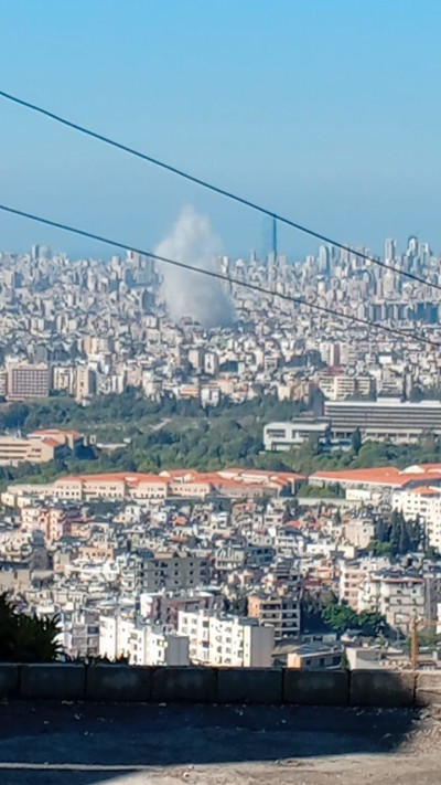 עשן עולה בשמי דאחיה  (צילום: רשתות ערביות)