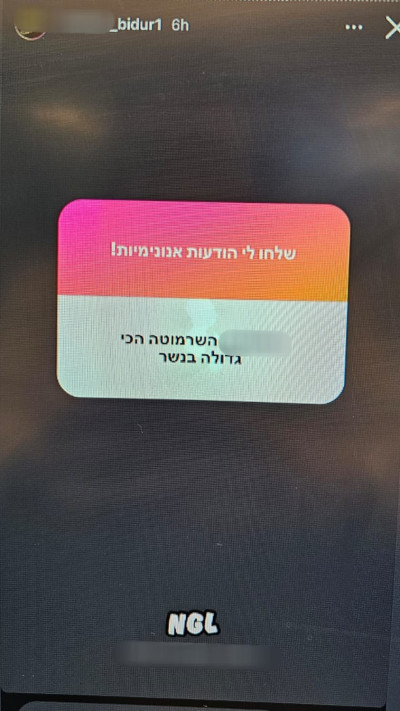 בריונות ברשת (צילום: דוברות המשטרה)