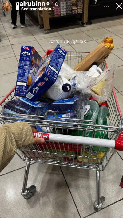 הסטורי של גל רובין (צילום: מתוך אינסטגרם)