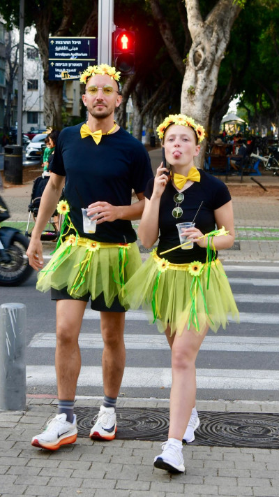 תחפושת חמניות