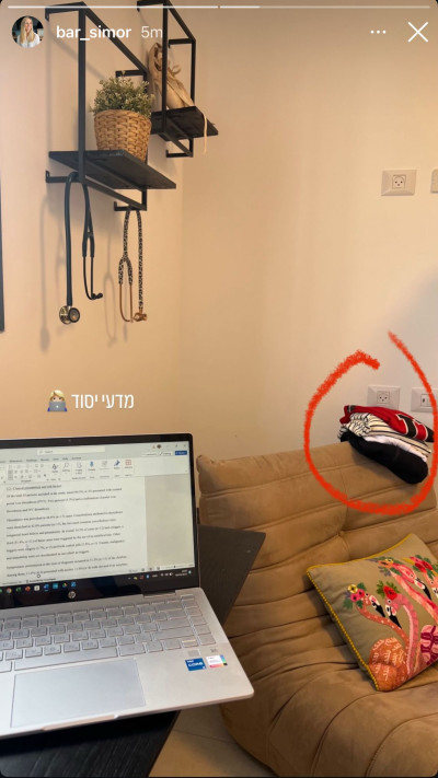 הסטורי של בר סימור (צילום: מתוך אינסטגרם)
