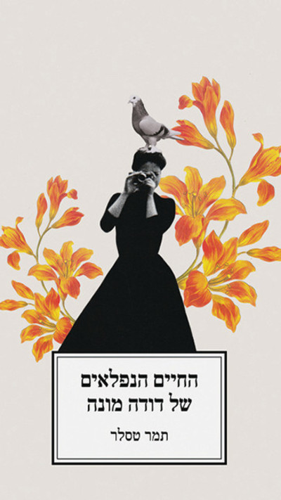 הספר: החיים הנפלאים של דודה מונה (צילום: ללא)