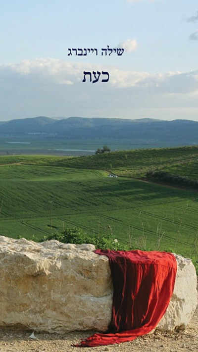 כעת (צילום: עטיפה)