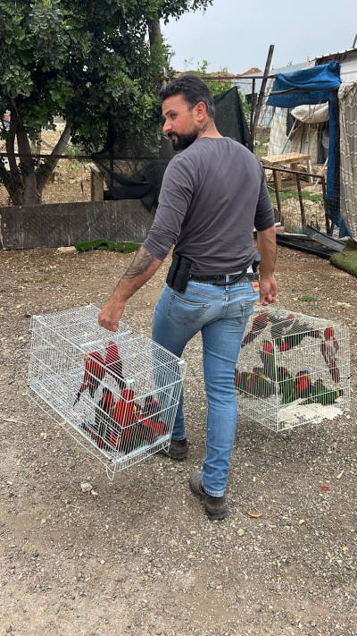 איתור עופות ותוכים נדירים (צילום: דוברות המשטרה)