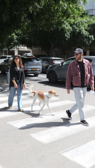 רז איתן ועינב כפיר (צילום: פול סגל)
