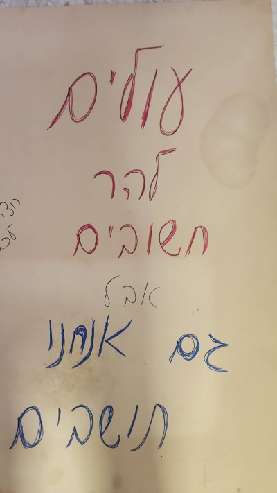 מחאה נגד סגירת הרכבת בכרמיאל (צילום: שימוש לפי סעיף 27א')