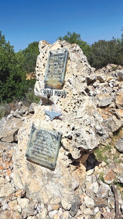 הדרך של בן (צילום: סטודיו A)