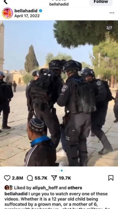 צילומי המסך שמופצים ברשתות ובהם לייקים של אלאיה לבלה חדיד (צילום: צילום מסך רשתות חברתיות)
