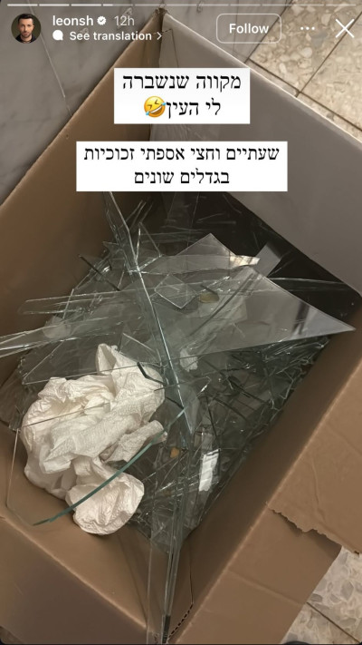 הסטורי של לאון שניידרובסקי (צילום: מתוך אינסטגרם)