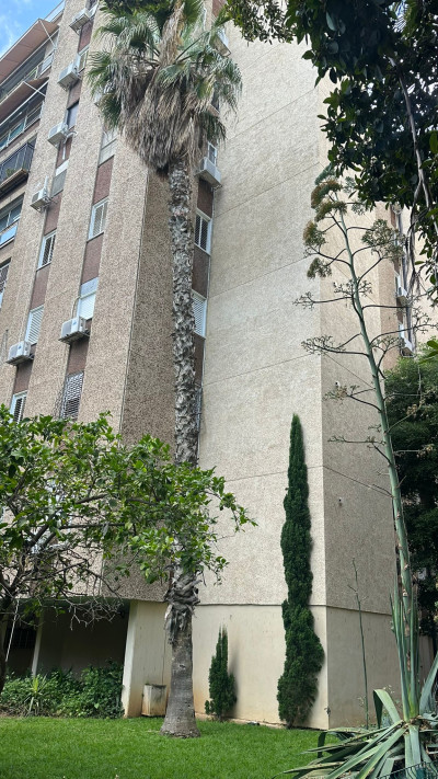 ביקוש שיא. בניין בת''א עם תוספת ממ''דים