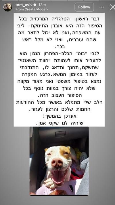 הסטורי של טום אביב (צילום: צילום מסך אינסטגרם)