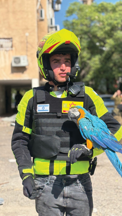 נפתלי הלברשטט, חובש מתנדב ביחידת האופנועים של מד''א, מחלץ תוכי (צילום: יוני כהן, דוברות מד''א)