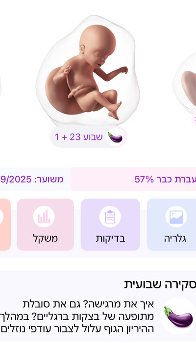 צילום מסך מתוך אפליקצית פורטי (צילום: יחצ)
