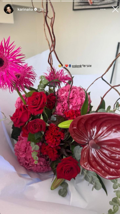 הסטורי של קארין עליה (צילום:  צילום מתוך אינסטגרם)
