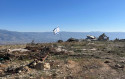 הרס בדרום לבנון (צילום: אבי אשכנזי)