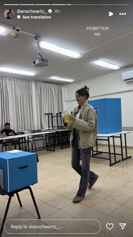 דיאן שוורץ (צילום: צילום מסך מתוך האינסטגרם)